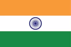 印度 队徽